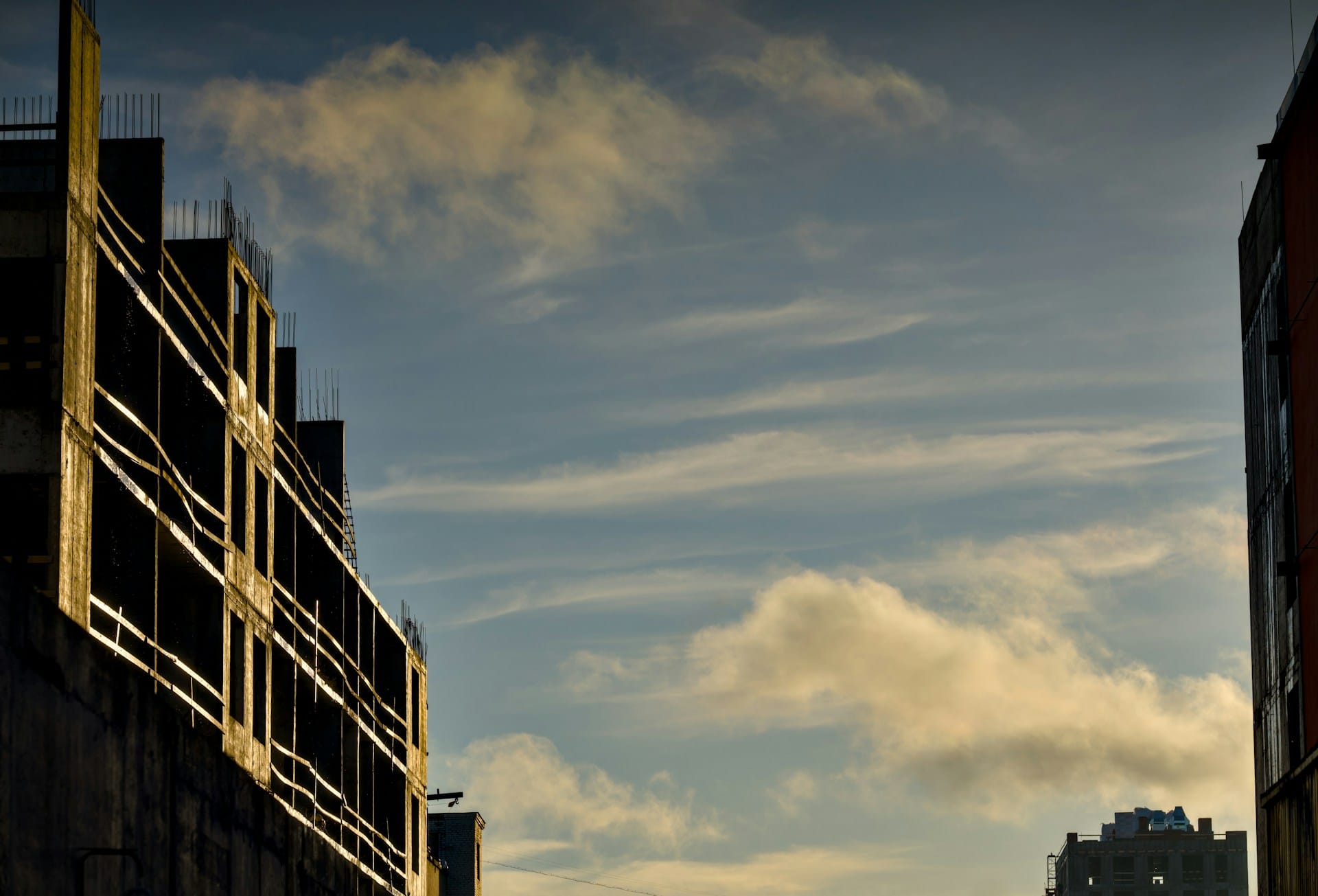 The Avenue Group